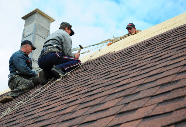 Quick and Trustworthy Emergency Roof Repair Services in Briar, TX